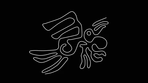 The Pelican of Nazca Lines Animation Video stock 165229437