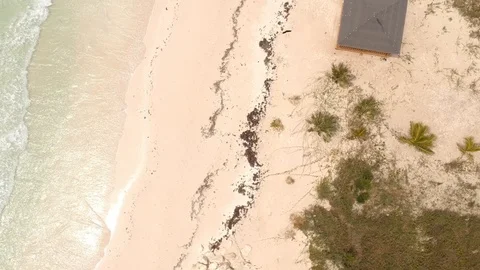 Pelican Point Beachfront Coast, Grand Bahama Bahamas Aerial View Stock Footage 88993229