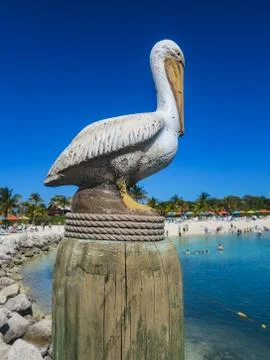 Pelican Statue Stock Photos