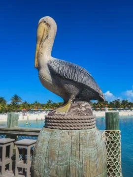 Pelican Statue Stock Photos