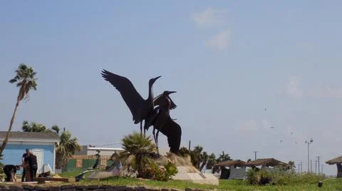 Pelican Statue 库存照片