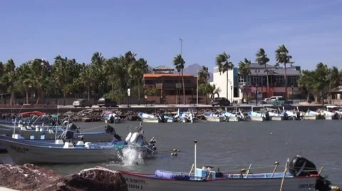Pelican Swoops Down in Loreto, Mexico Stock Footage 51851918