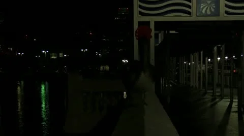 Pelican walks towards camera Stock Footage 18159690