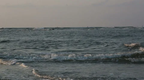 Pelican watch Stock Footage 36953300