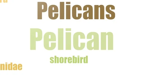 Pelican Word Cloud Animated Isolated Stock Footage 103653889