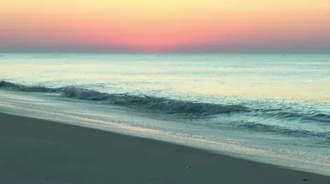 Pelicans at dawn Stock Footage 11058771