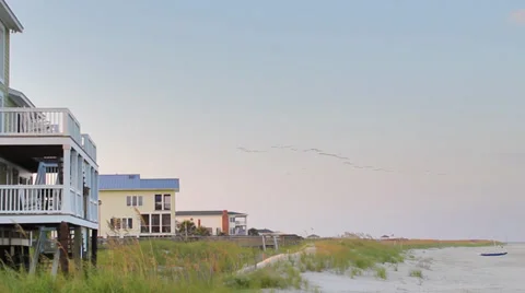 Pelicans in Flight Stock Footage 33731240