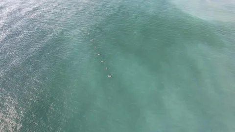 Pelicans in Flight Stock Footage 211863500