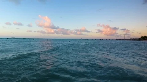 Pelicans float and play in the ocean in Key West, Florida, as the sun sets Video stock 106067924