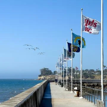 Pelicans fly past a row of flapping flags along a breakwater pier Stock Photos