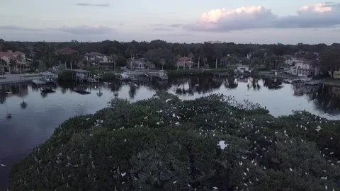 Pelican's Island 動画素材 244251052