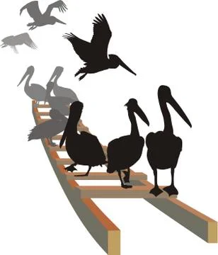 Pelicans on the ladder 스톡 일러스트