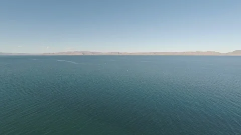 Pelicans on Lake Video stock 95187748