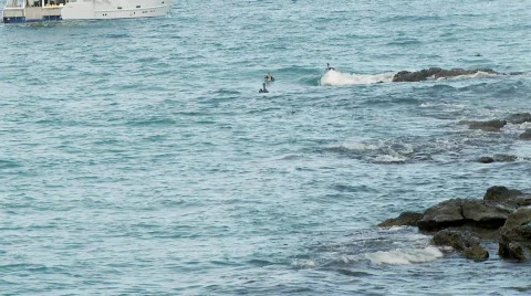 Pelicans long view Stock Footage 758278