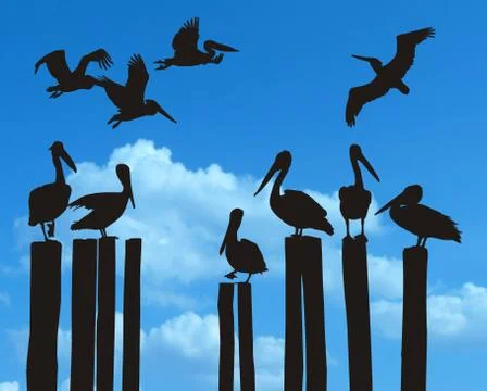 Pelicans on the old pier Stock Illustration