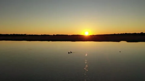 Pelicans @ Sunset 스톡 동영상 146175793