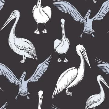 Pelicans. Vector  pattern Stock Illustration
