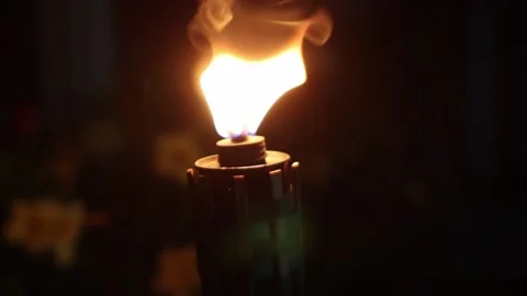 PELITA RAYA 2 스톡 동영상 211541506