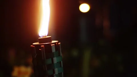 PELITA RAYA 스톡 동영상 211541481