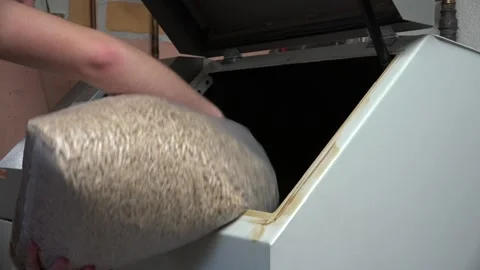 Pellet Fuels made From Compressing Biomass Stock Footage 239610327