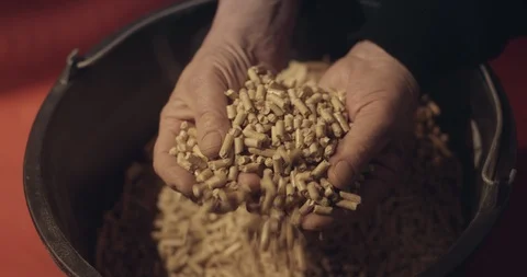 Pellet - two hands take pellet 스톡 동영상 87575694