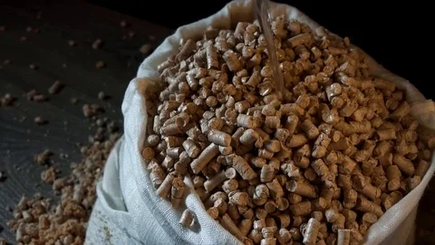 Pellets absorb water, hygiene Video stock 83079482