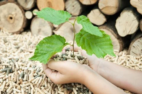 Pellets- Biomas Stock Photos