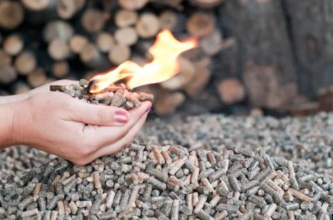 Pellets- biomass Stock Photos