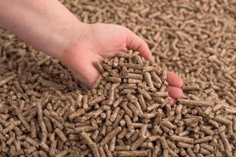 Pellets in hand Stock Photos