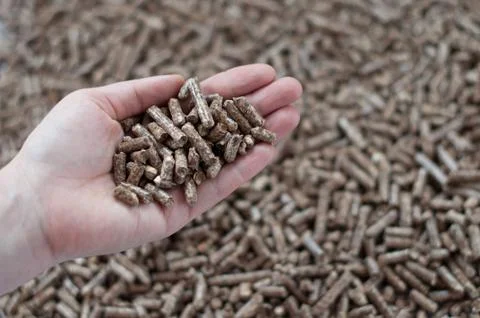 Pellets Stock Photos