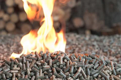 Pellets Stock Photos