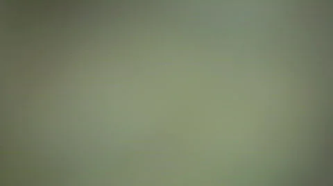 Pelmeni Stock Footage 328080