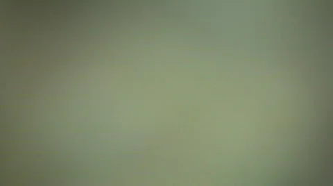 Pelmeni Stock Footage 328213