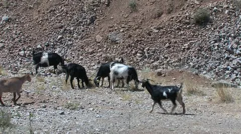 Peloponnes, Greece Видео 11908616