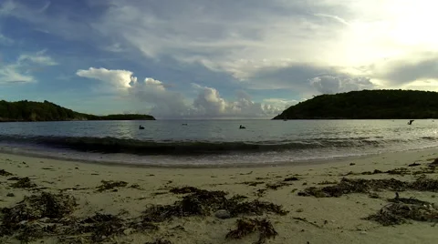 Peloquins join in on breakfast Video stock 41270043
