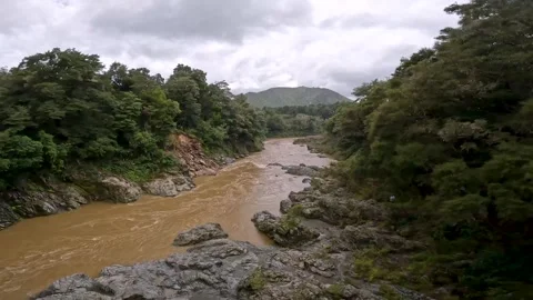 Pelorus River After Heavy Rain in Marlborough, New Zealand  Turbulent Brown.. Video stock 286768161
