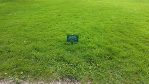 Pelouses Interdites Sign on Grass Video stock 336735807
