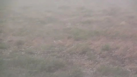 Pelted by Hail 스톡 동영상 54747865