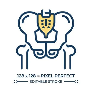 Pelvic girdle structure pixel perfect line color icon Stock Illustration