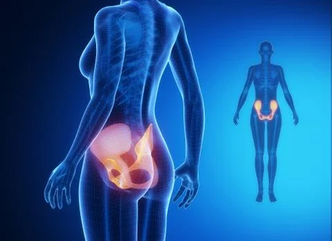 PELVIS blue x--ray bone scan Stock Illustration