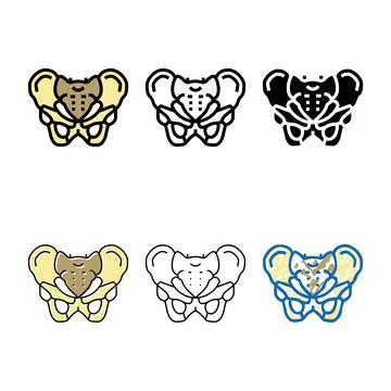 Pelvis bone color simplified icon vector Stock Illustration