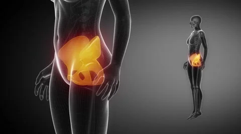 PELVIS bone skeleton x-ray scan in black Stock Footage 48494754