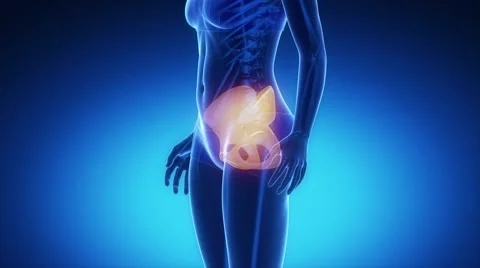 PELVIS bone skeleton x-ray scan in blue Stock Footage 48497048
