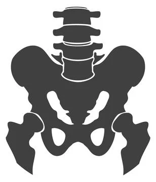 Pelvis bones black icon. Human body structure 스톡 일러스트