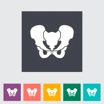 Pelvis Stock Illustration