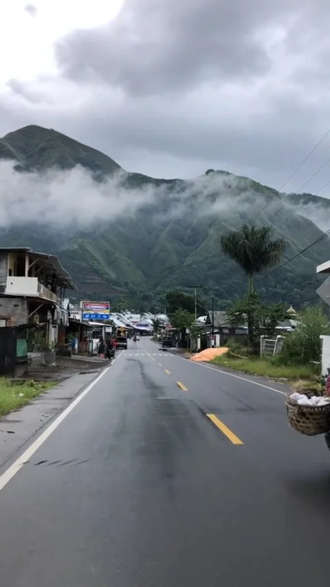 Pemandangan alam Video stock 243344554