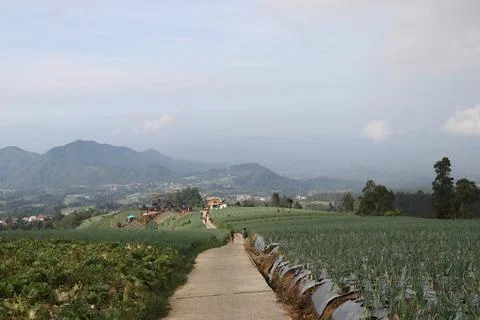 Pemandangan asri 스톡 사진