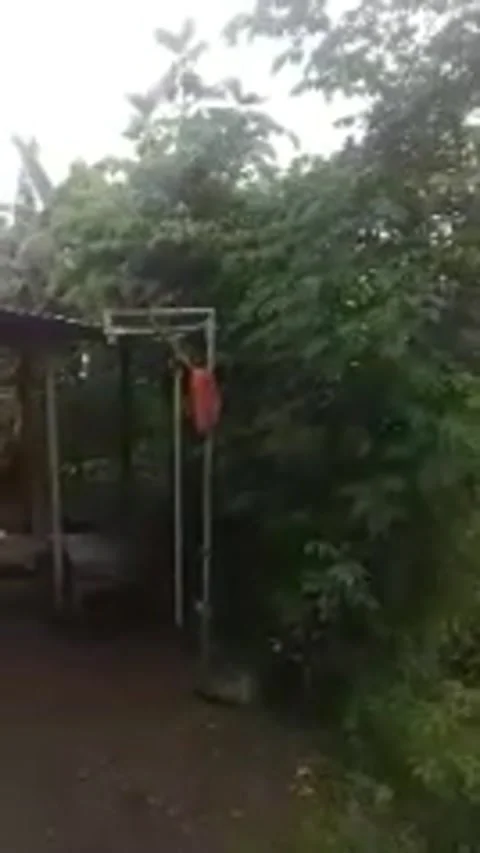 Pemandangan 動画素材 170823376