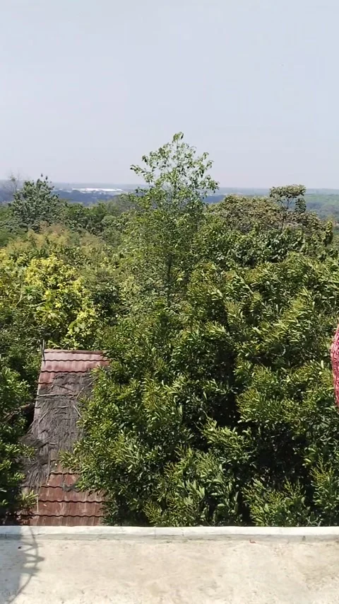 Pemandangan 動画素材 256547597