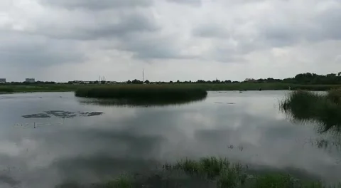 Pemandangan Pemancing Video stock 168701494